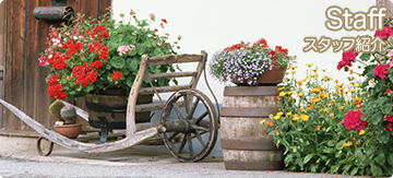 スタッフ紹介